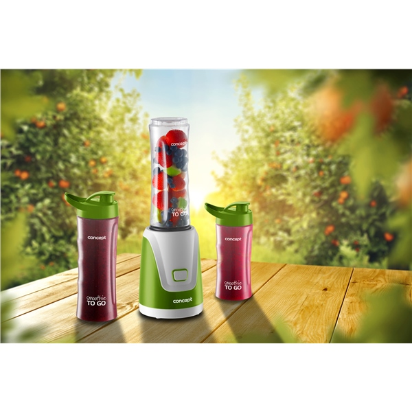 Smoothie maker SMOOTHIE TO GO SM3365